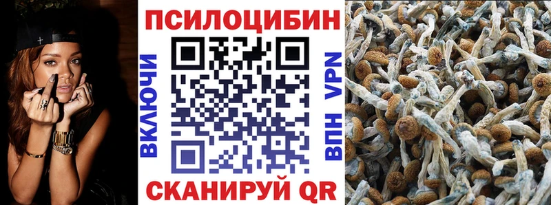 купить закладку  Северобайкальск  Галлюциногенные грибы Psilocybe 